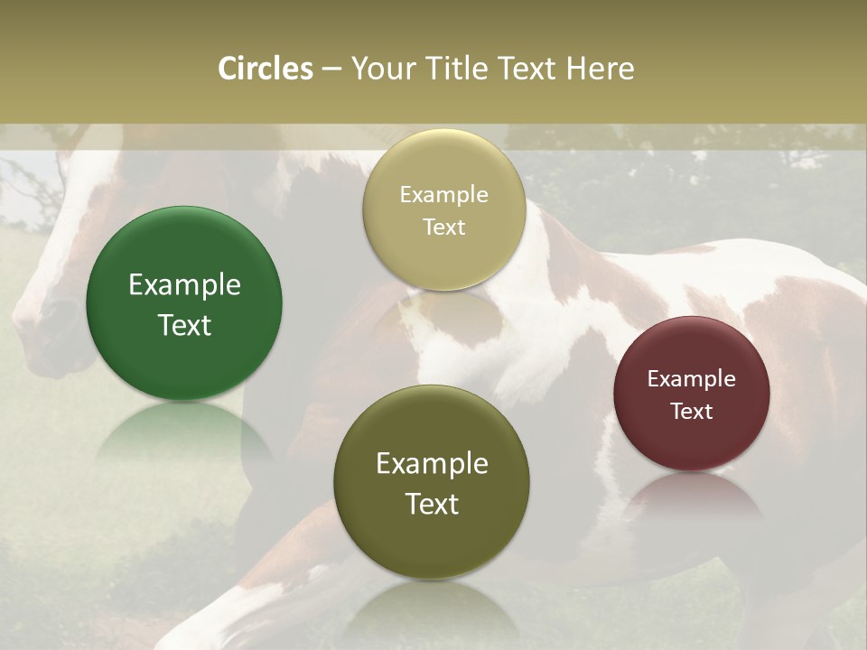 American Landscape Outdoor PowerPoint Template