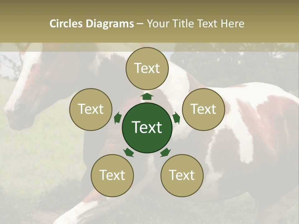 American Landscape Outdoor PowerPoint Template