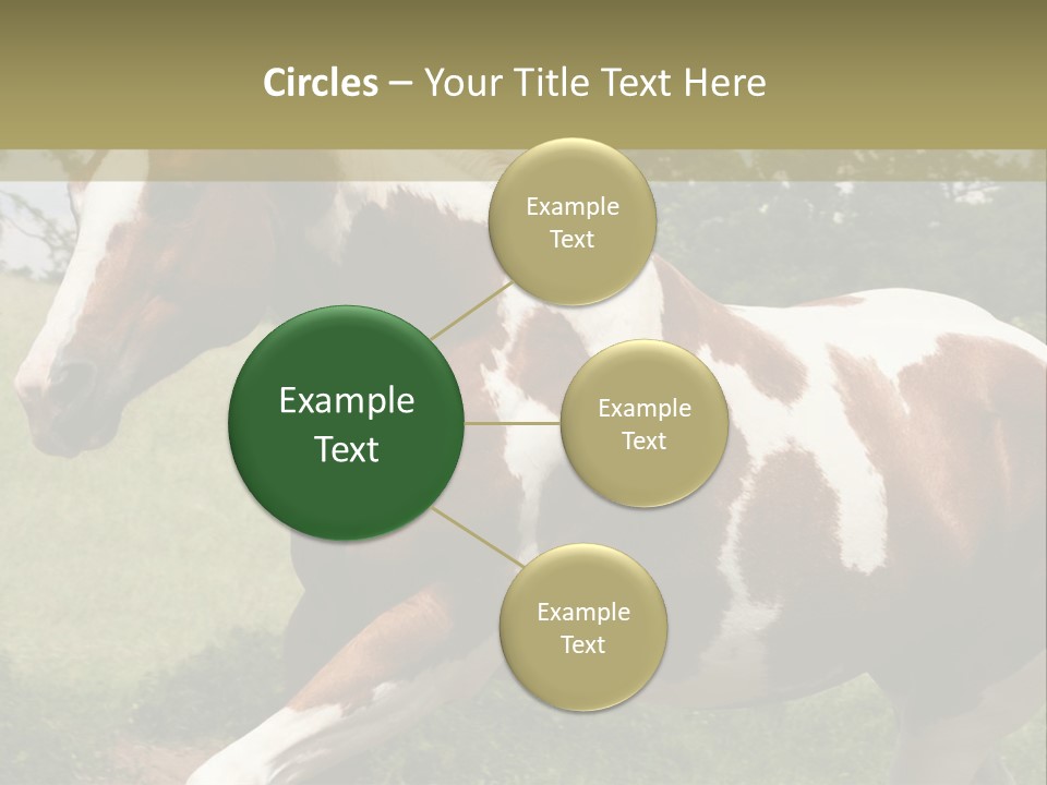 American Landscape Outdoor PowerPoint Template