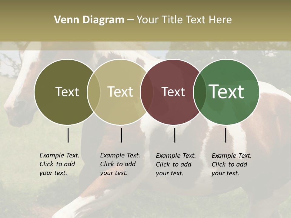 American Landscape Outdoor PowerPoint Template