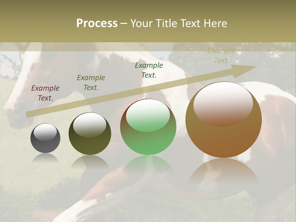 American Landscape Outdoor PowerPoint Template