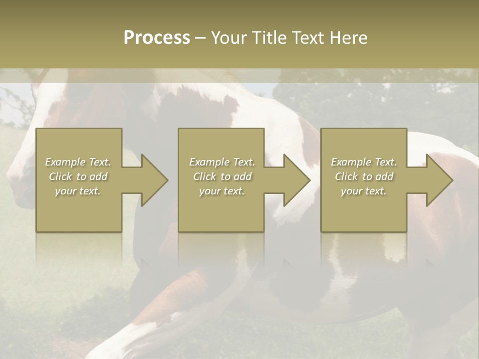 American Landscape Outdoor PowerPoint Template