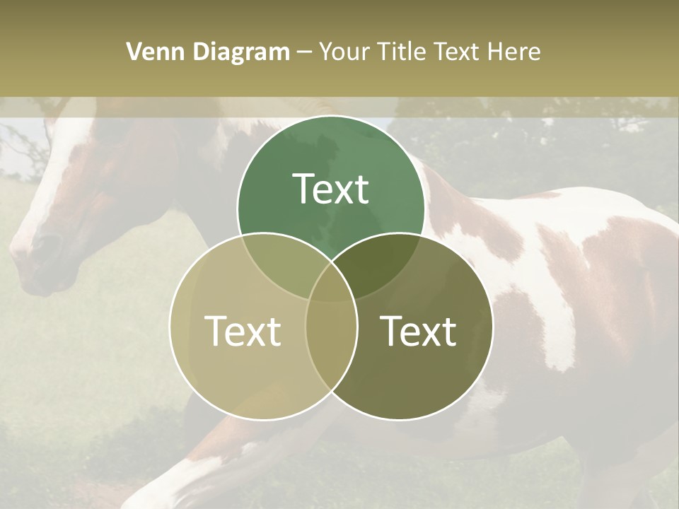 American Landscape Outdoor PowerPoint Template