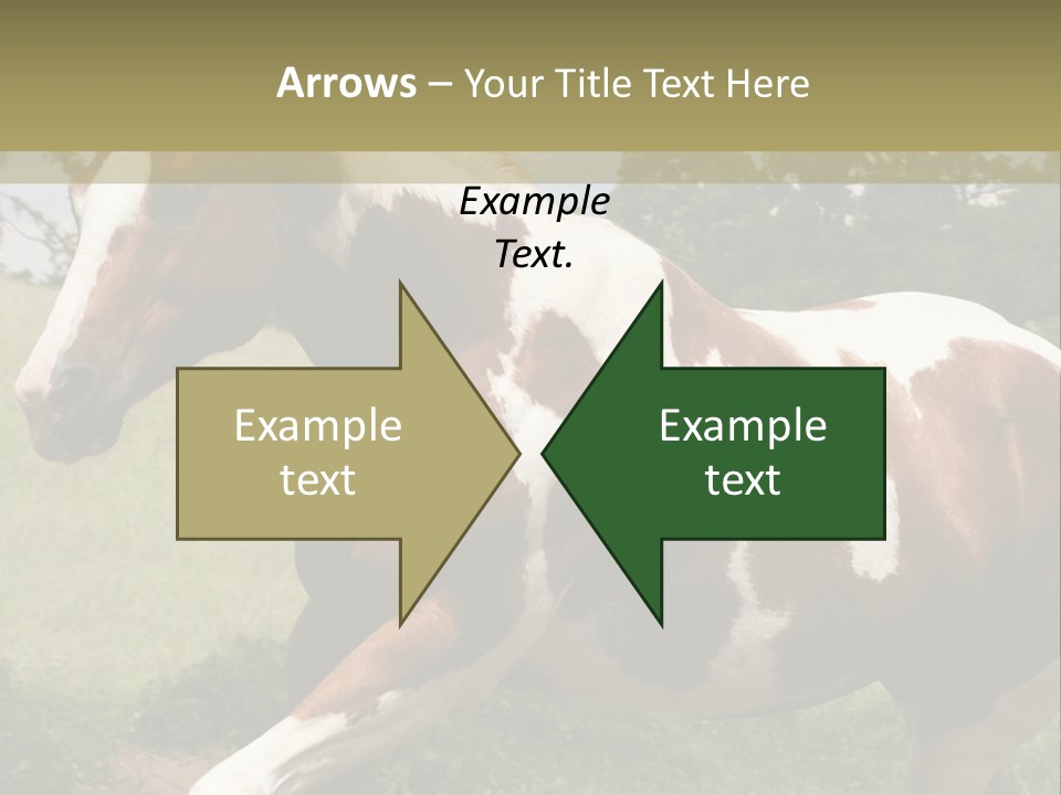 American Landscape Outdoor PowerPoint Template