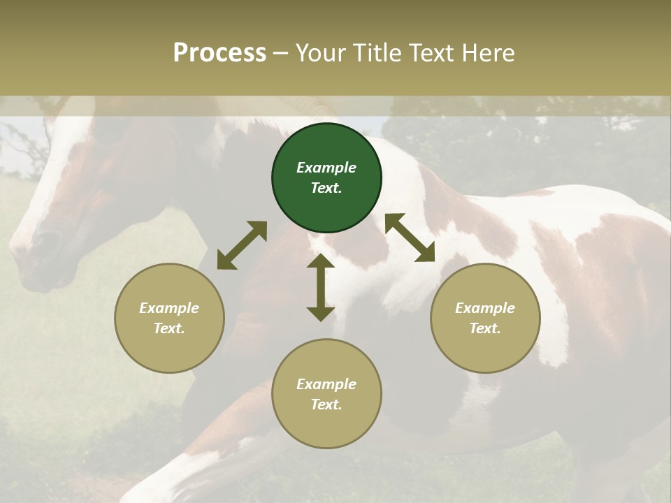 American Landscape Outdoor PowerPoint Template