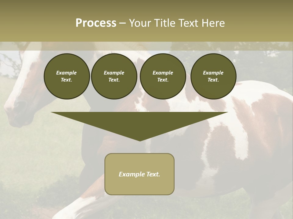 American Landscape Outdoor PowerPoint Template
