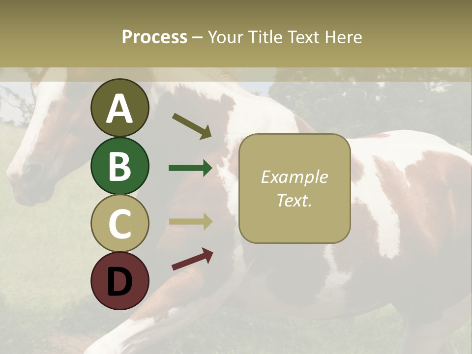 American Landscape Outdoor PowerPoint Template