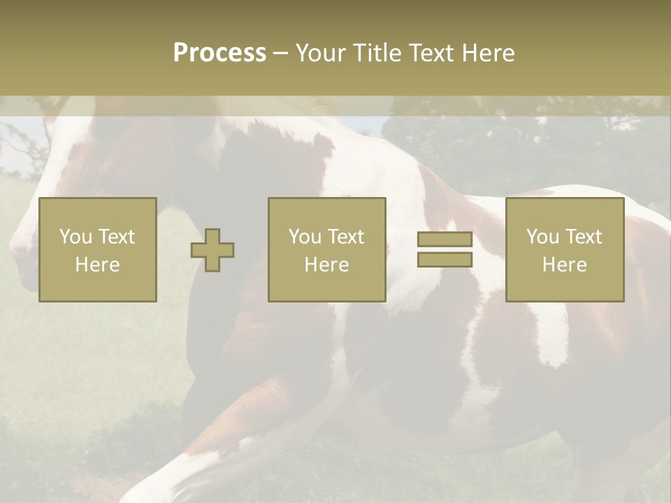 American Landscape Outdoor PowerPoint Template