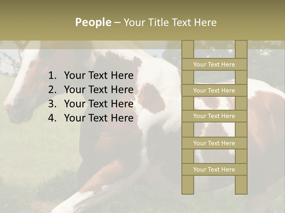 American Landscape Outdoor PowerPoint Template