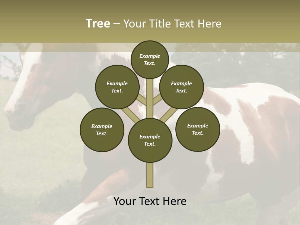 American Landscape Outdoor PowerPoint Template