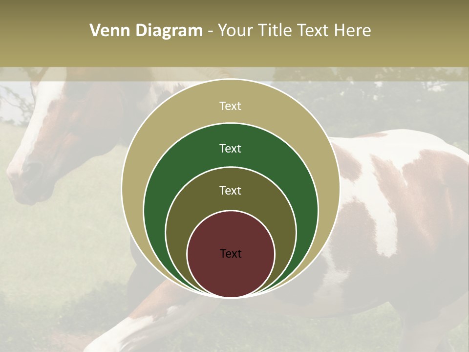American Landscape Outdoor PowerPoint Template