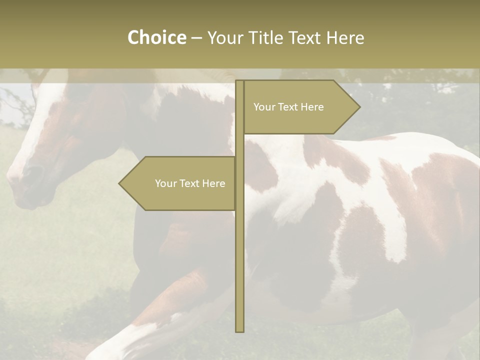 American Landscape Outdoor PowerPoint Template