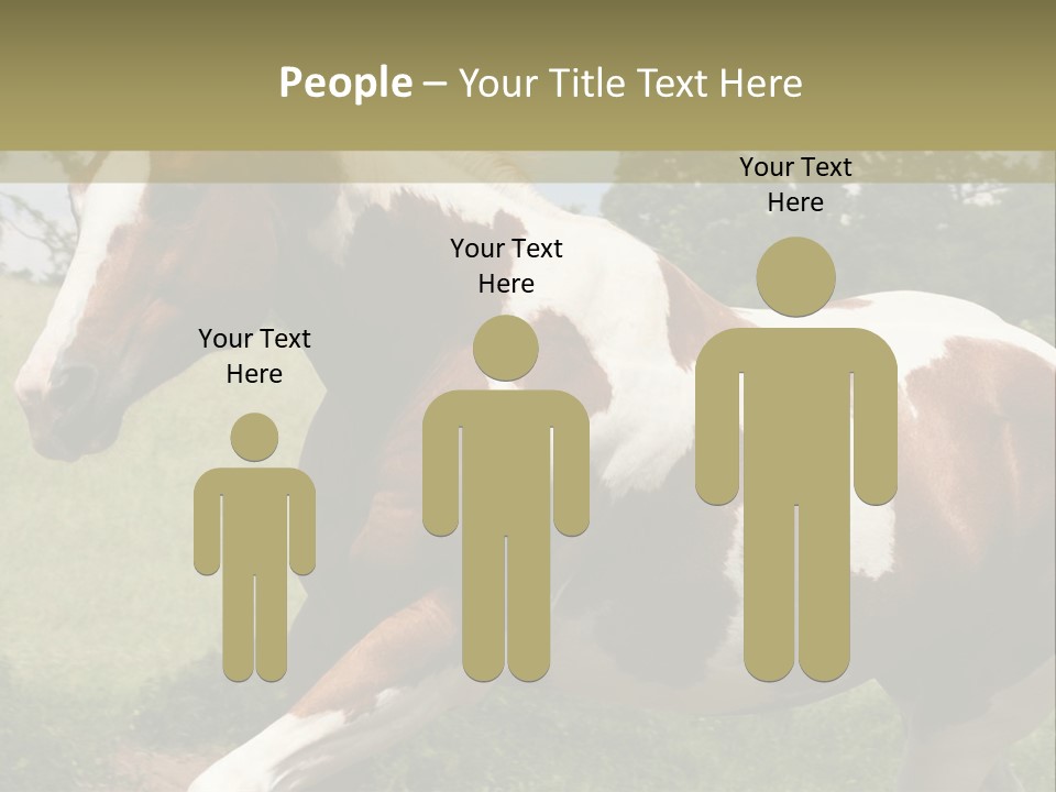 American Landscape Outdoor PowerPoint Template