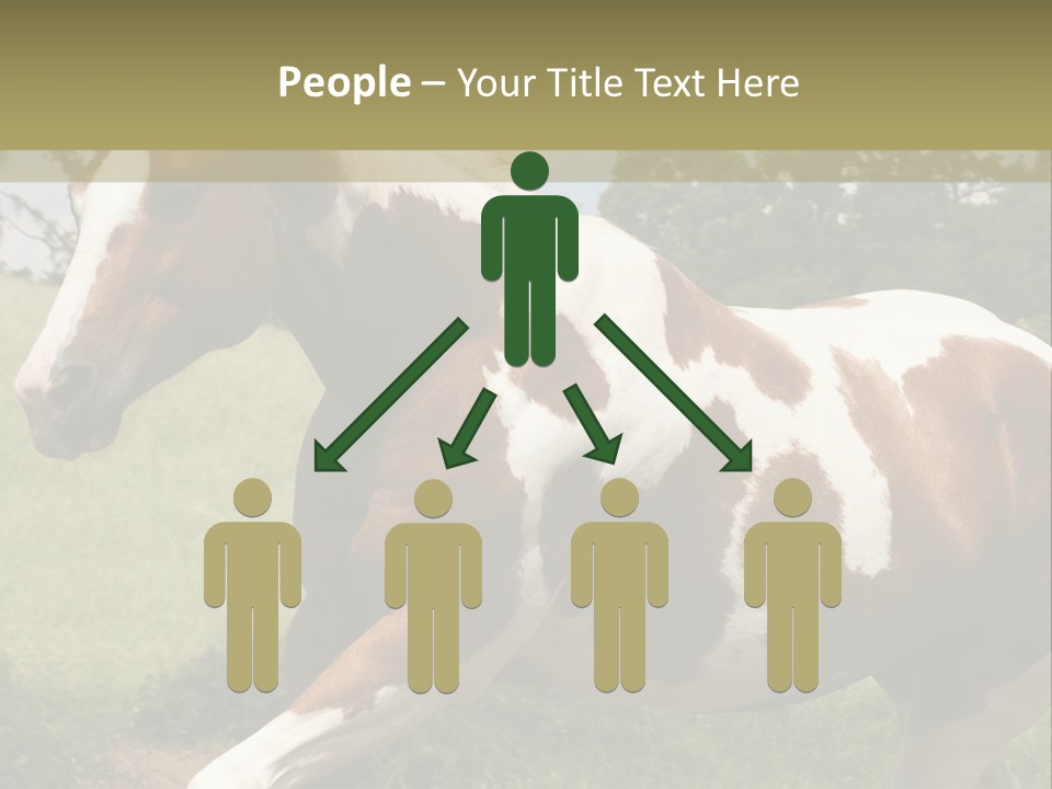 American Landscape Outdoor PowerPoint Template