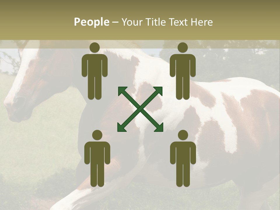 American Landscape Outdoor PowerPoint Template