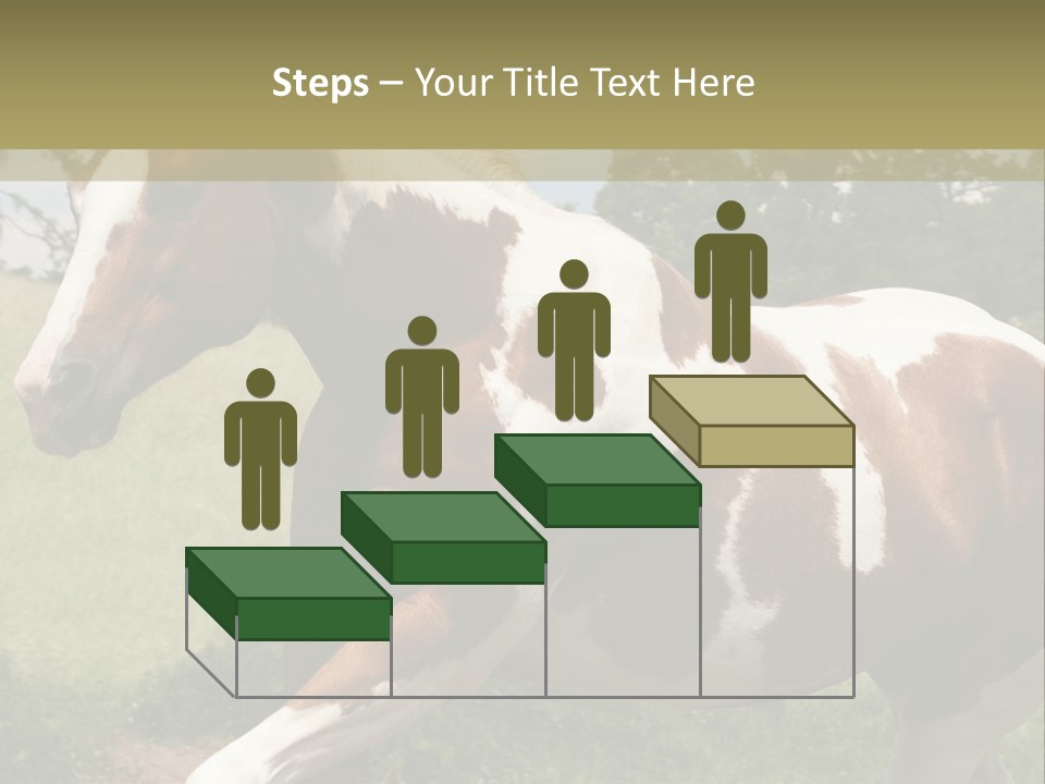 American Landscape Outdoor PowerPoint Template