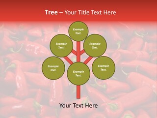 Salad Spice Bazaar PowerPoint Template