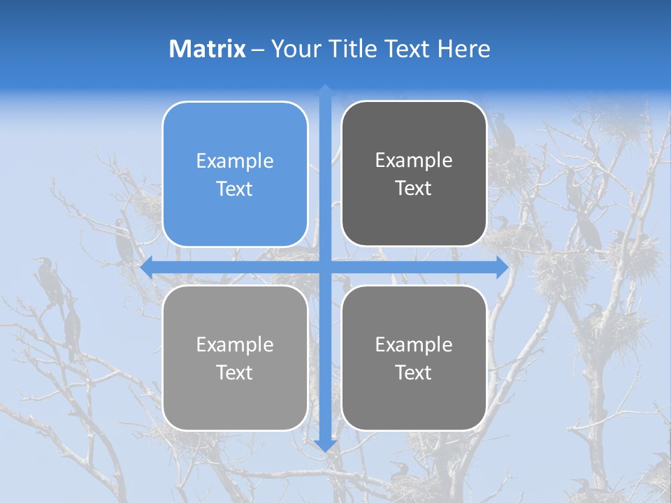 Sky Cormorant Chick PowerPoint Template