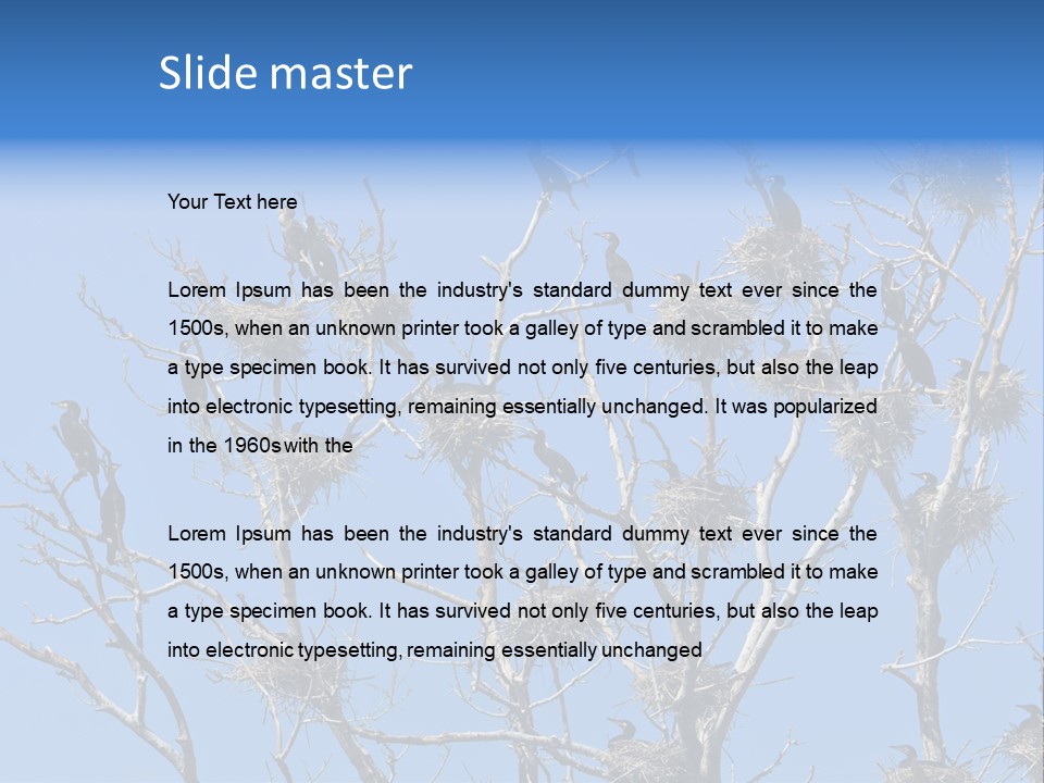 Sky Cormorant Chick PowerPoint Template