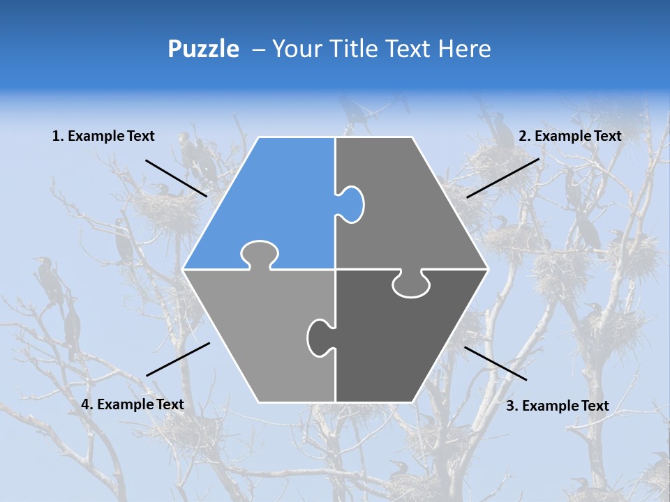 Sky Cormorant Chick PowerPoint Template