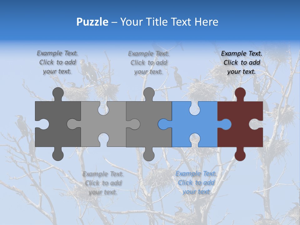 Sky Cormorant Chick PowerPoint Template