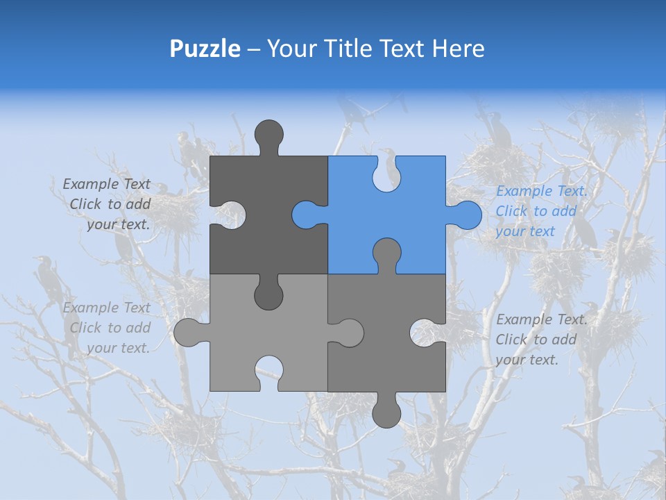 Sky Cormorant Chick PowerPoint Template