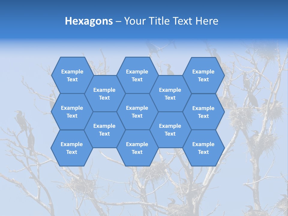 Sky Cormorant Chick PowerPoint Template