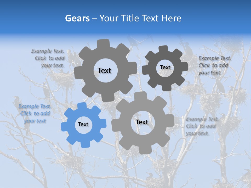 Sky Cormorant Chick PowerPoint Template