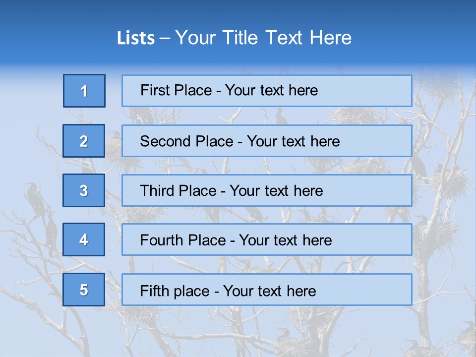 Sky Cormorant Chick PowerPoint Template