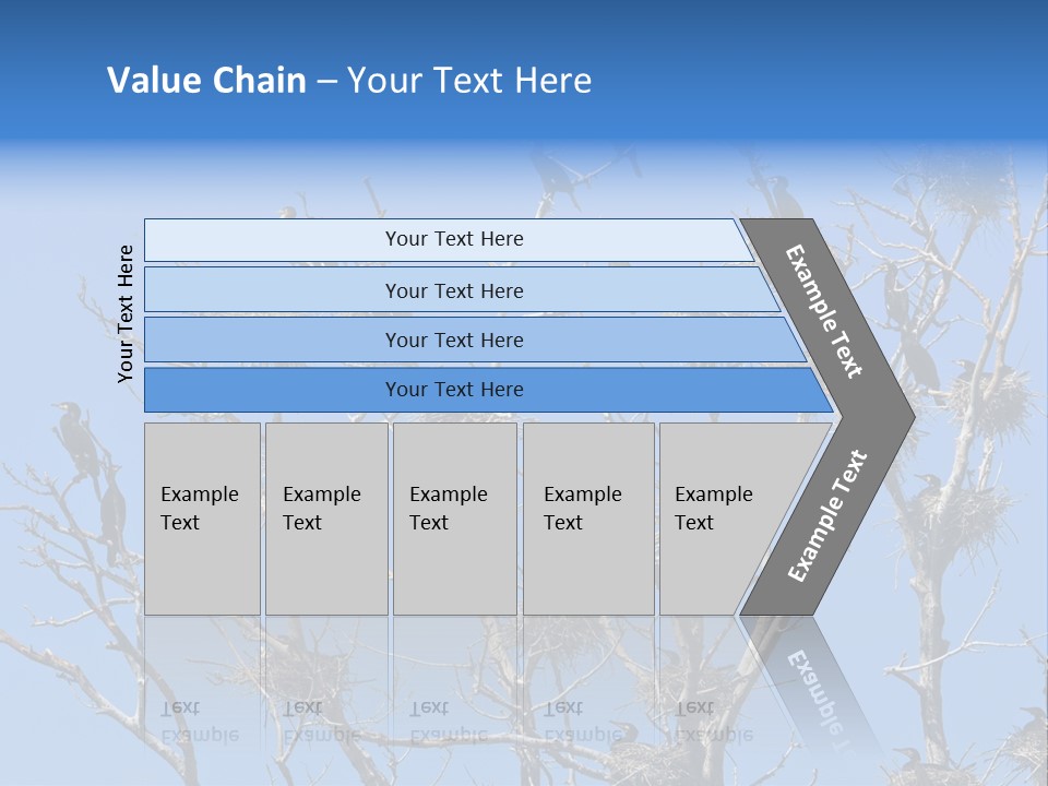 Sky Cormorant Chick PowerPoint Template