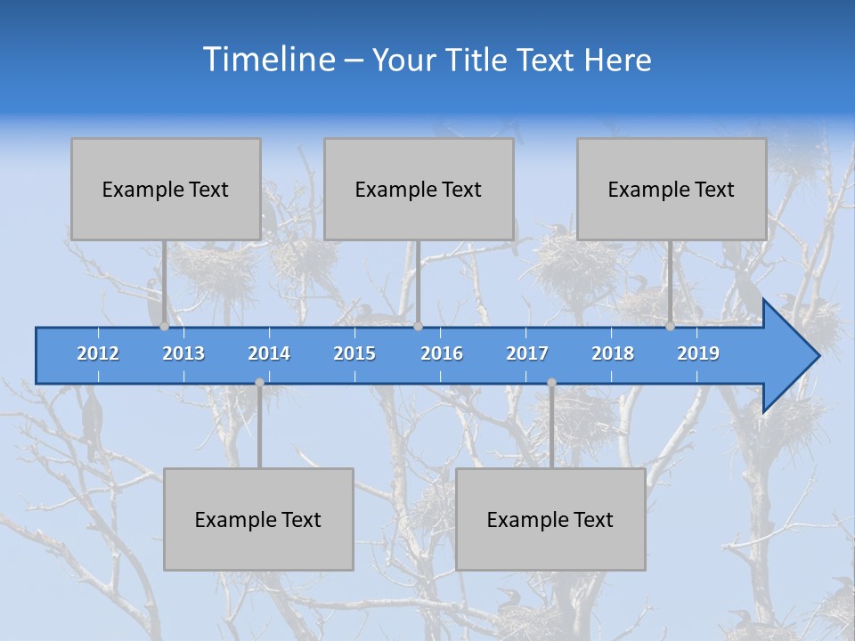 Sky Cormorant Chick PowerPoint Template