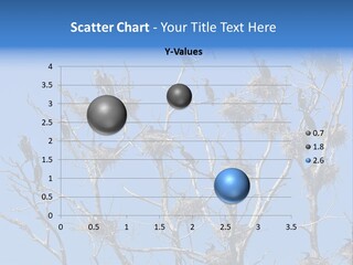 Sky Cormorant Chick PowerPoint Template