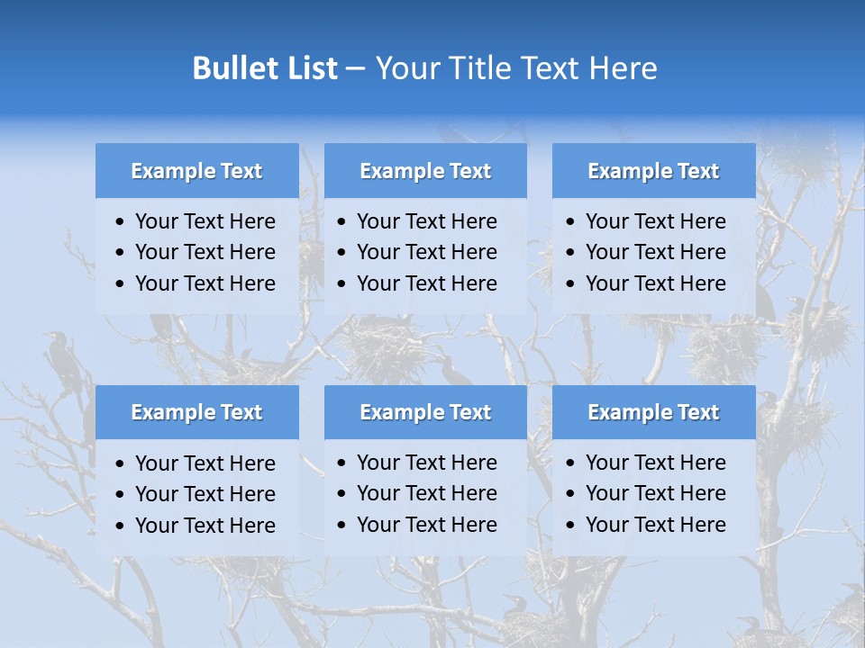 Sky Cormorant Chick PowerPoint Template