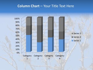 Sky Cormorant Chick PowerPoint Template