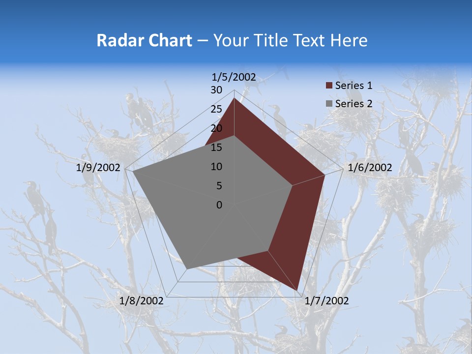 Sky Cormorant Chick PowerPoint Template