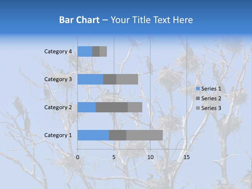 Sky Cormorant Chick PowerPoint Template