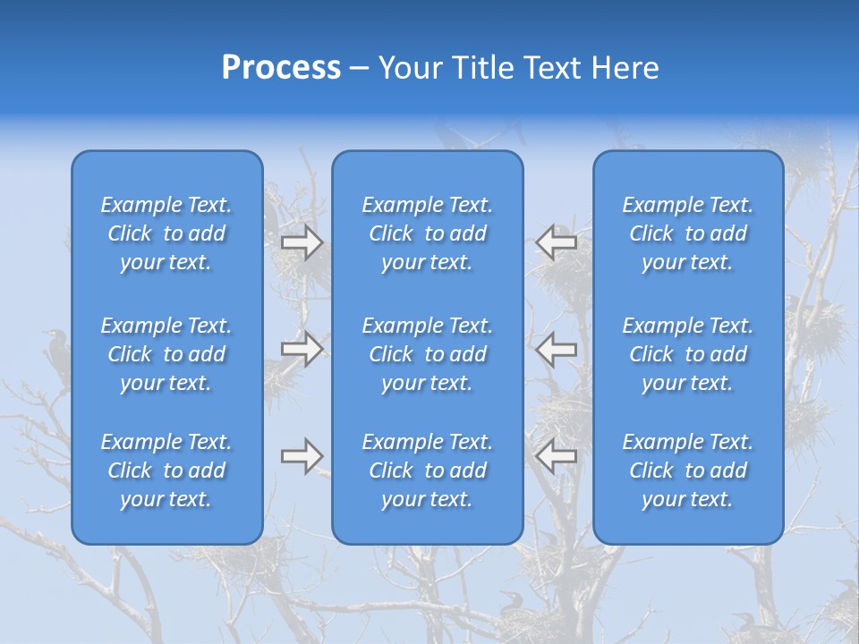 Sky Cormorant Chick PowerPoint Template