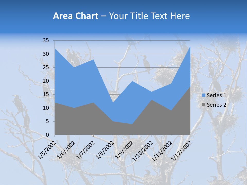 Sky Cormorant Chick PowerPoint Template