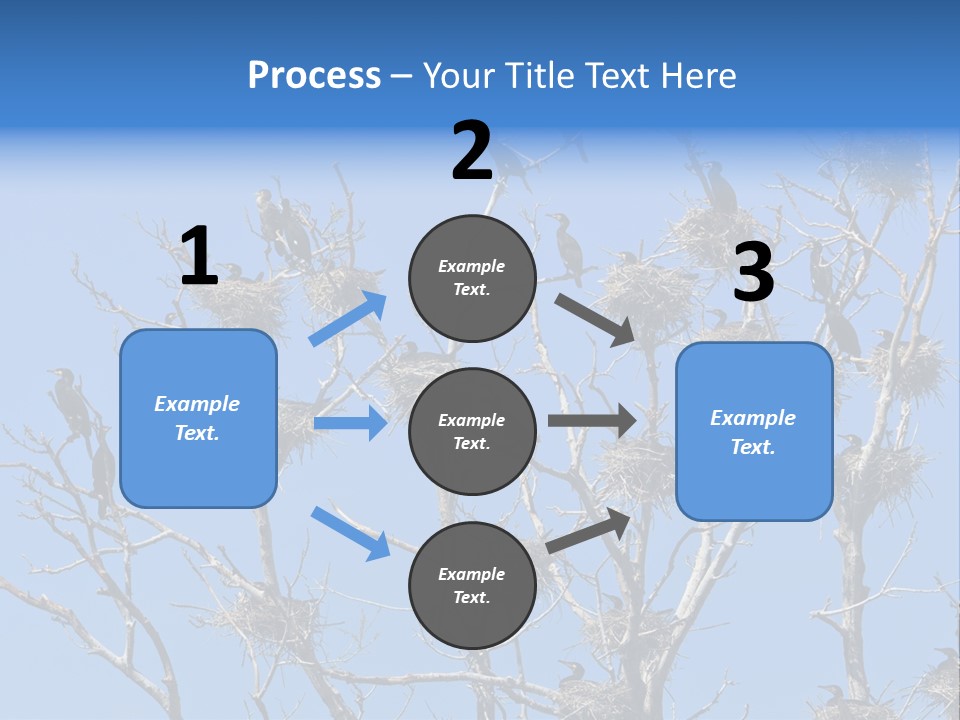 Sky Cormorant Chick PowerPoint Template