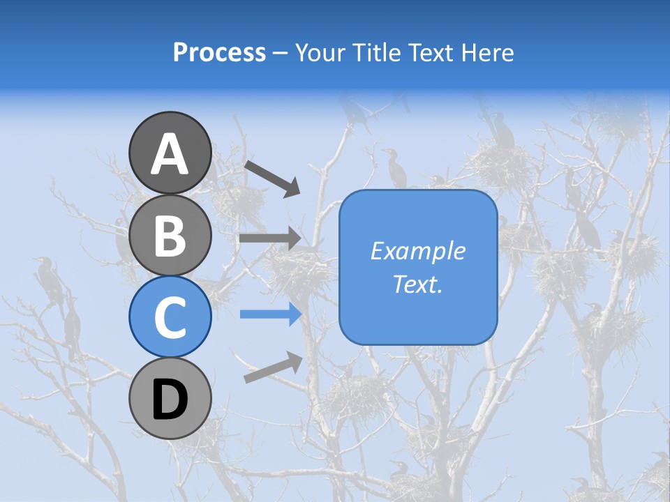Sky Cormorant Chick PowerPoint Template