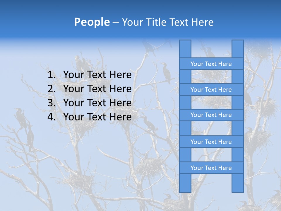 Sky Cormorant Chick PowerPoint Template