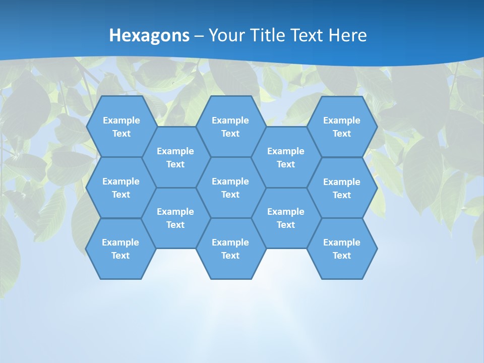Sunny Nature Forest PowerPoint Template