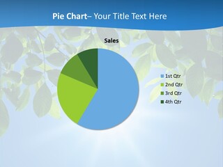 Sunny Nature Forest PowerPoint Template