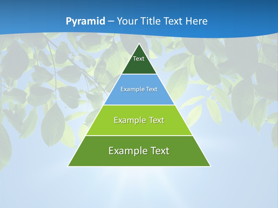 Sunny Nature Forest PowerPoint Template