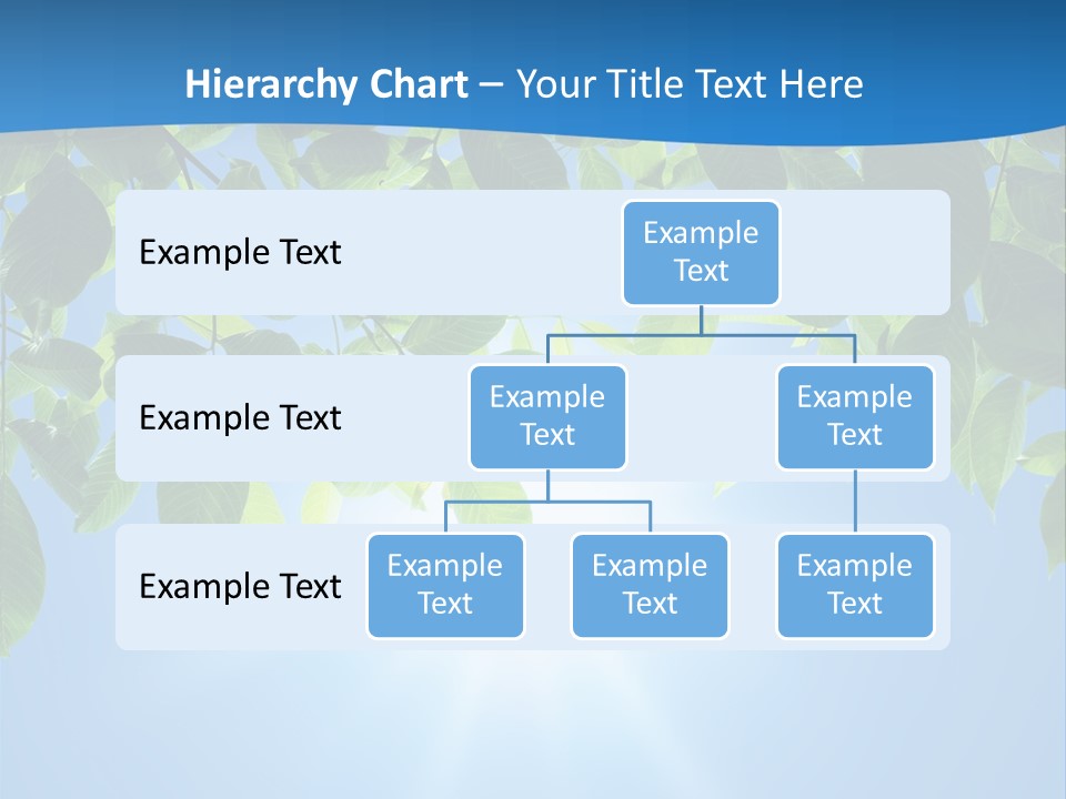 Sunny Nature Forest PowerPoint Template