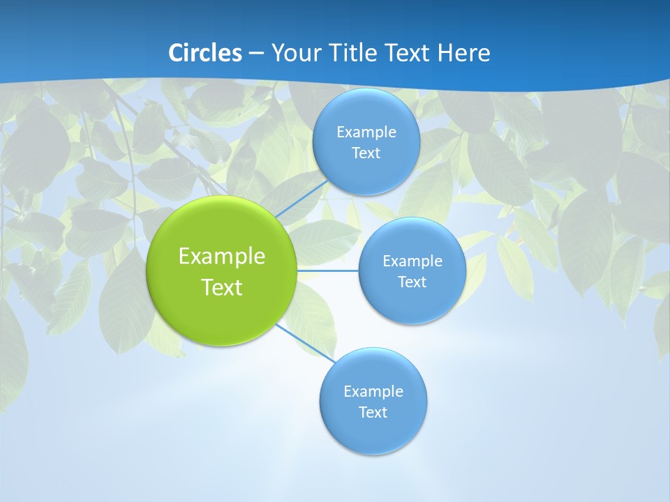 Sunny Nature Forest PowerPoint Template