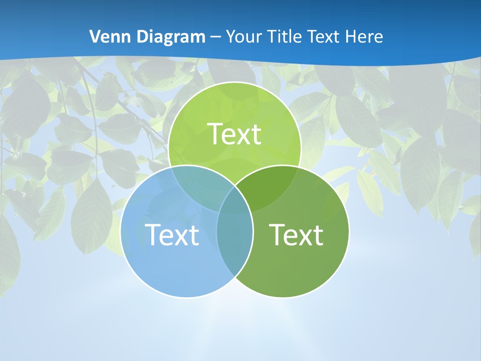 Sunny Nature Forest PowerPoint Template