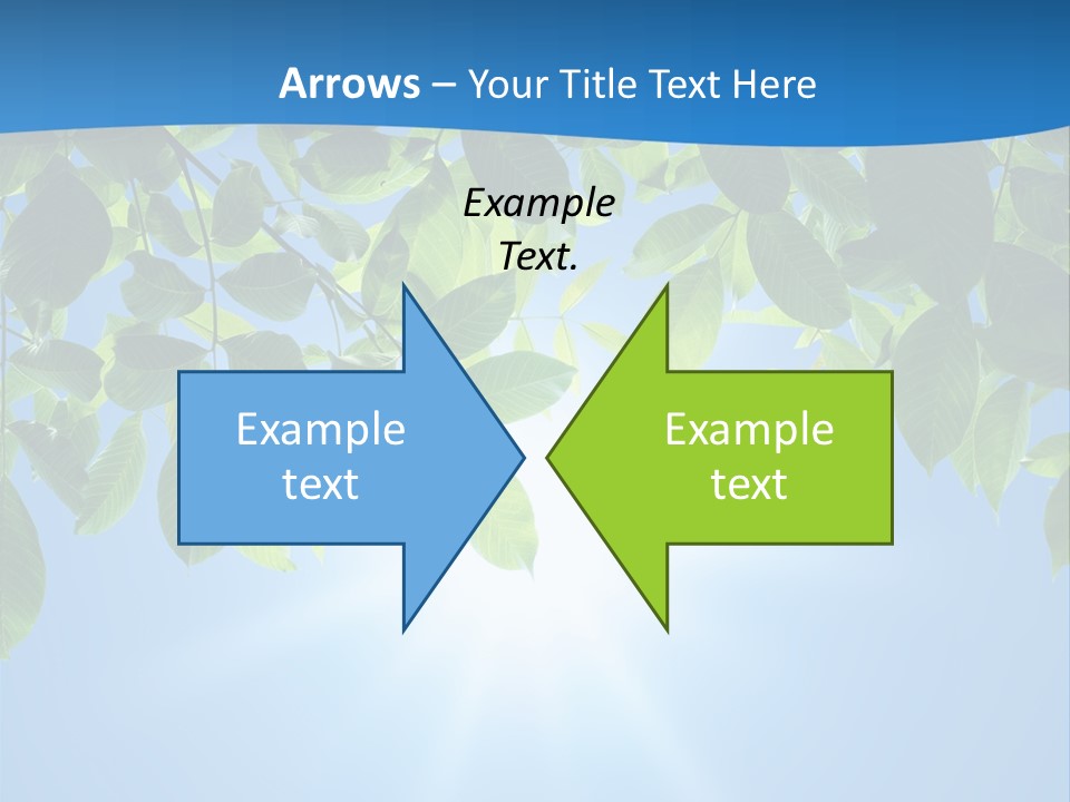 Sunny Nature Forest PowerPoint Template