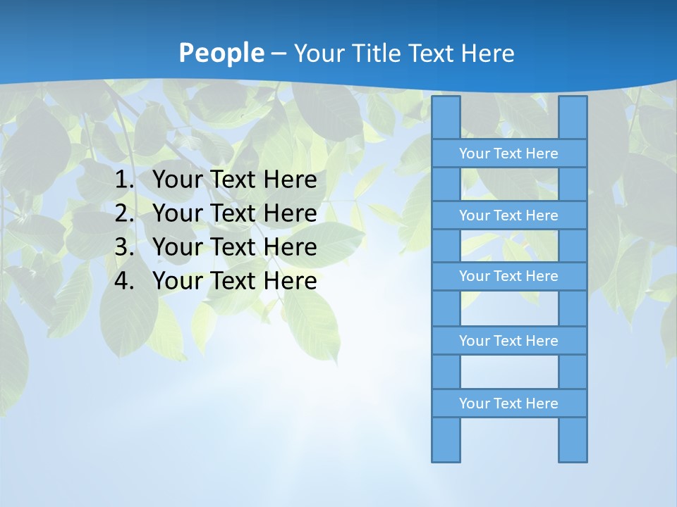 Sunny Nature Forest PowerPoint Template