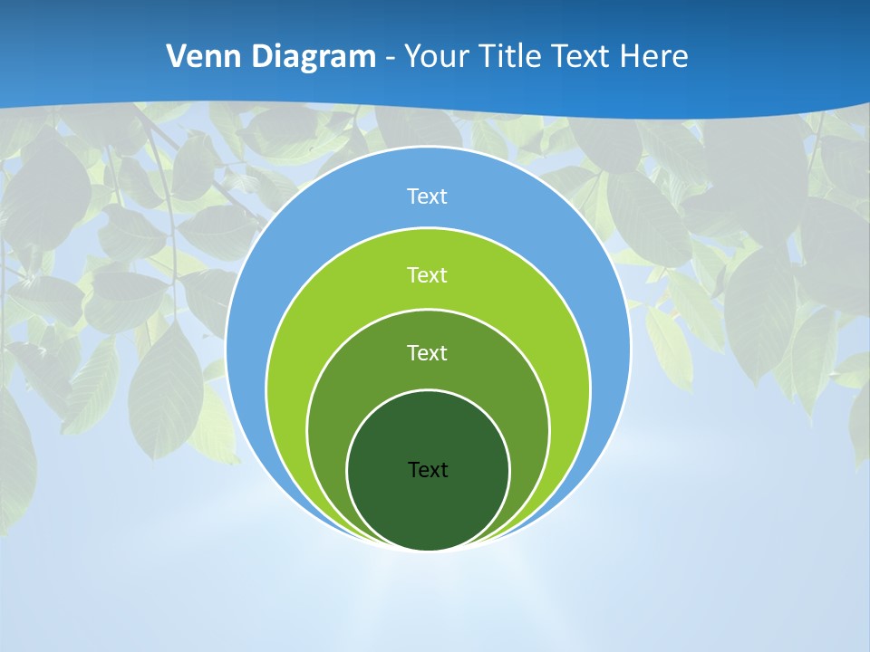 Sunny Nature Forest PowerPoint Template